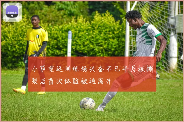 小萨重返训练场兴奋不已半月板撕裂后首次体验被迫离开