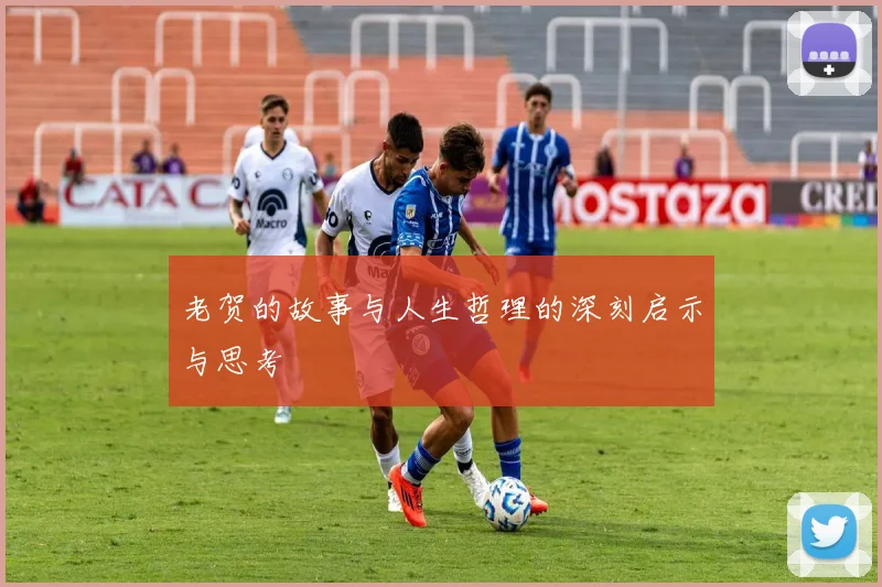 老贺的故事与人生哲理的深刻启示与思考